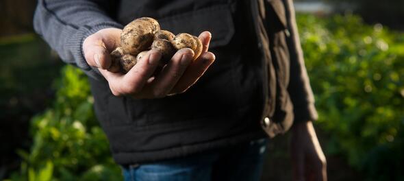 Reducciones en módulos de 2019 para agricultores y ganaderos