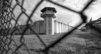 Sistema penitenciario