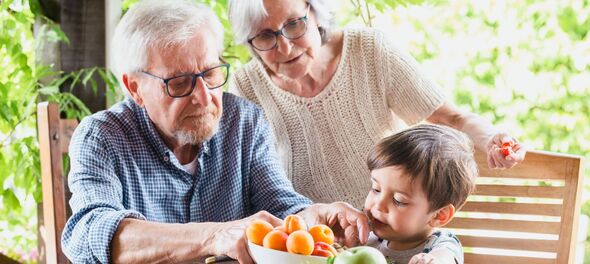 Régimen de visitas. Abuelos