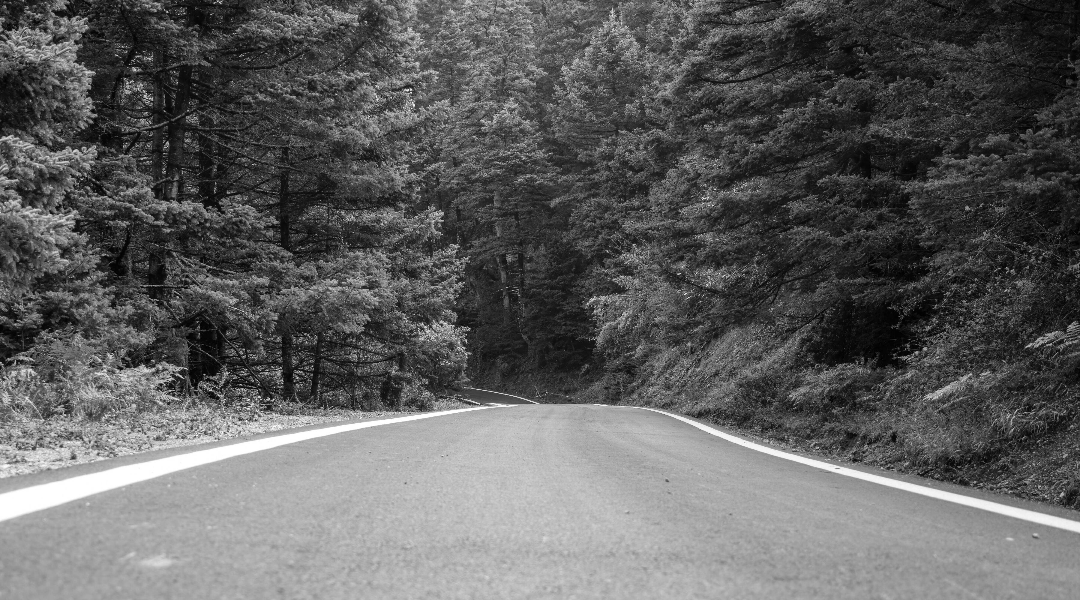 MÁS DE 50 AÑOS DE TRAYECTORIA MÁS DE 50 AÑOS DE TRAYECTORIA