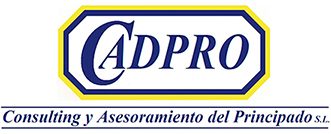 CONSULTING Y ASESORAMIENTO DEL PRINCIPADO S.L.