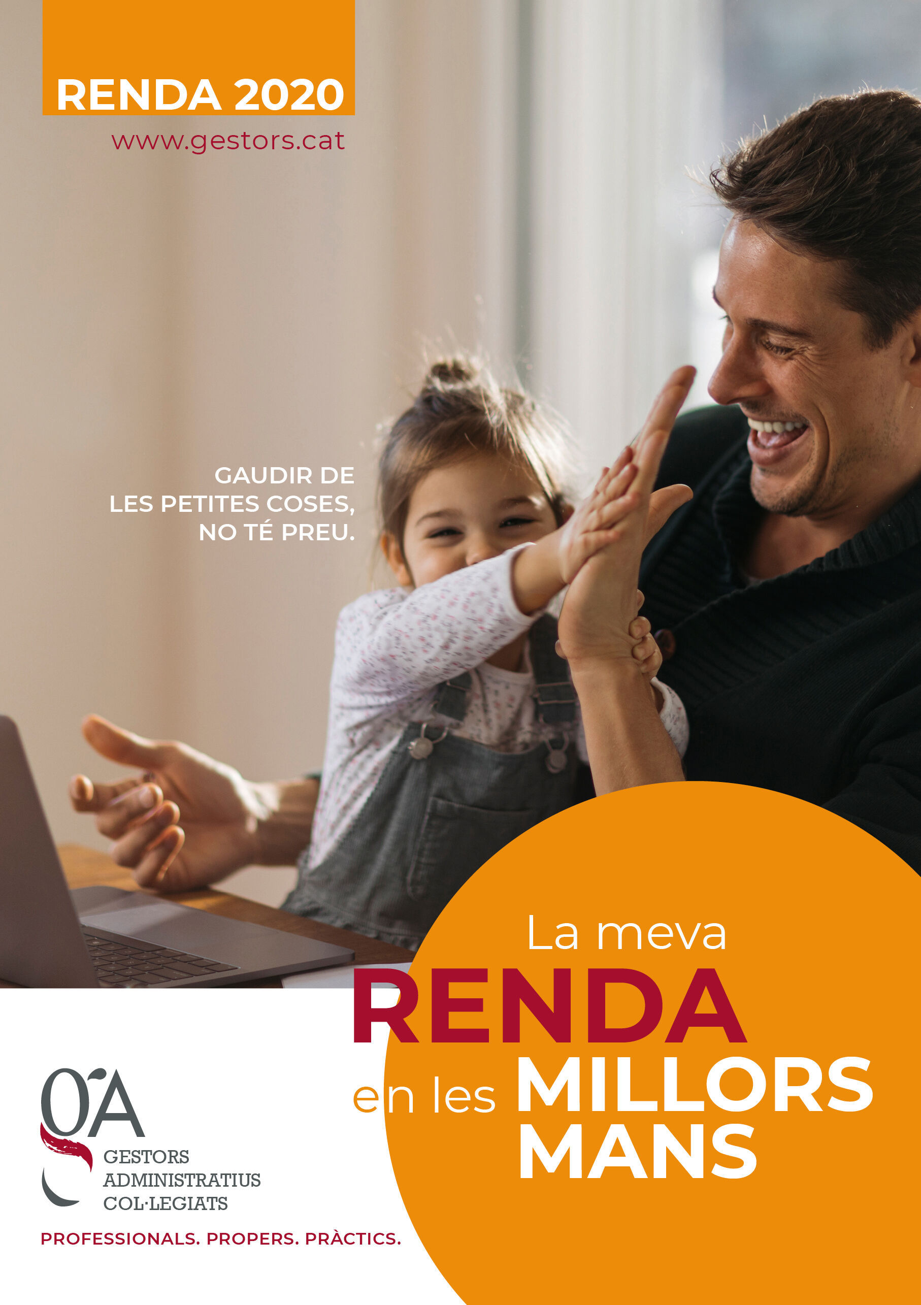DECLARACIÓ DE LA RENDA I PATRIMONI 2020