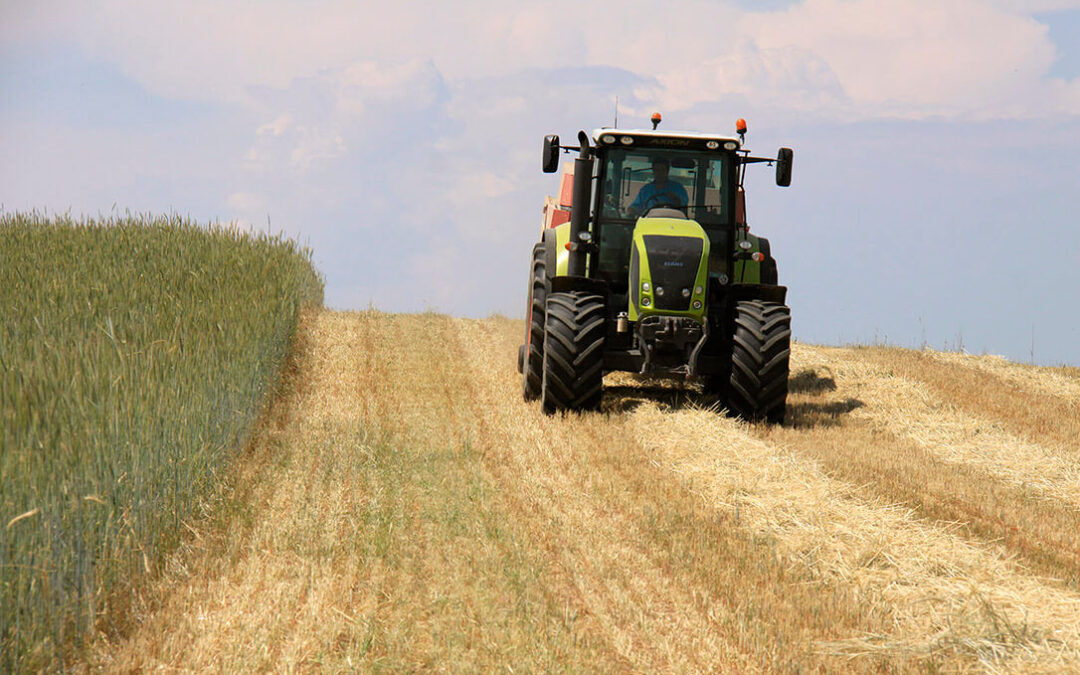 Europa confirma la «ayuda temporal excepcional» de 15.000€ a agricultores y 100.000 a pymes por la guerra a pagar en 2023