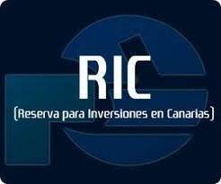 Emision de Deuda Pública apta para materializar RIC Año 2024