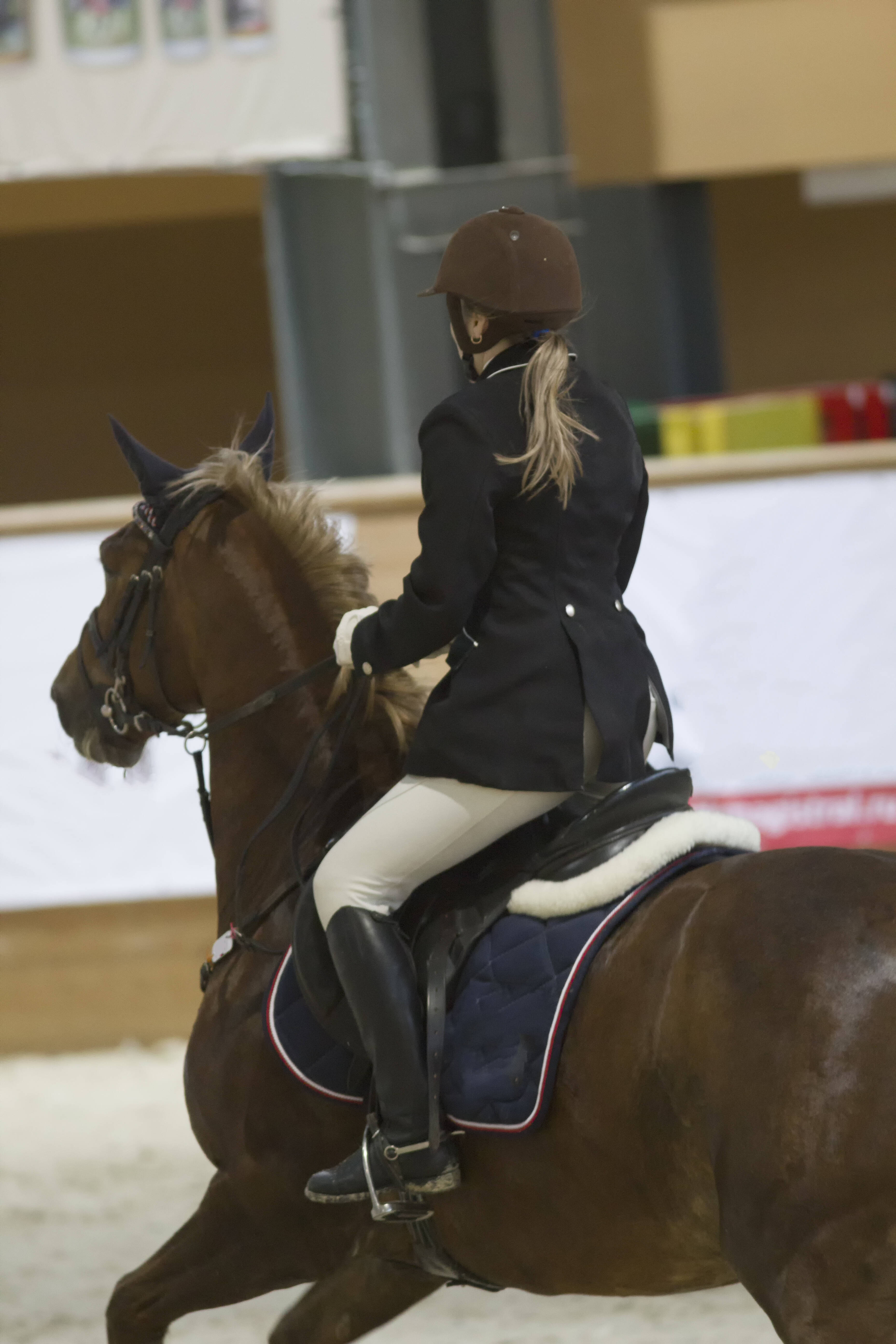 Denegada Indemnización alumna equitación por la caida del caballo