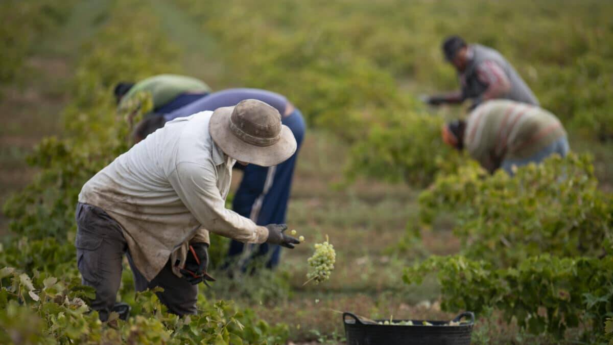 Agricultores: Ingresos Altos, Protección Baja.